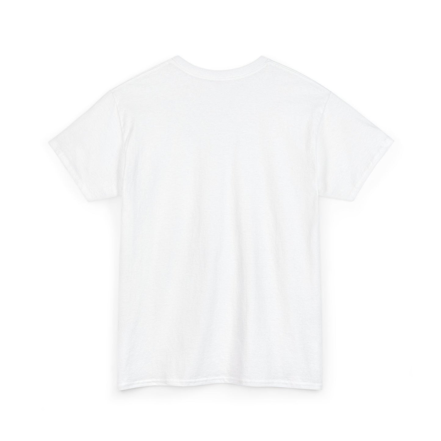 Motivational Unisex Heavy Cotton Tee - 'YOU ARE YOUR POWER'